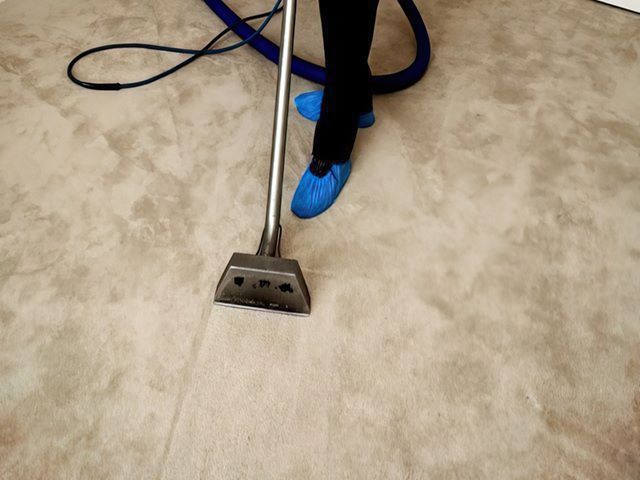 Carpet Cleaners in Hull