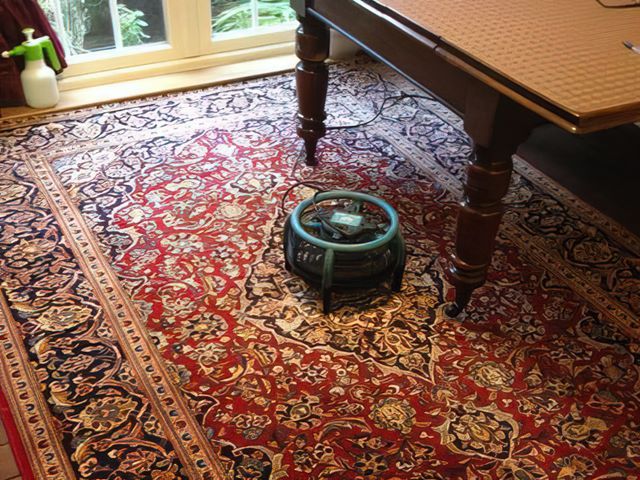 Rug Cleaners in Hull